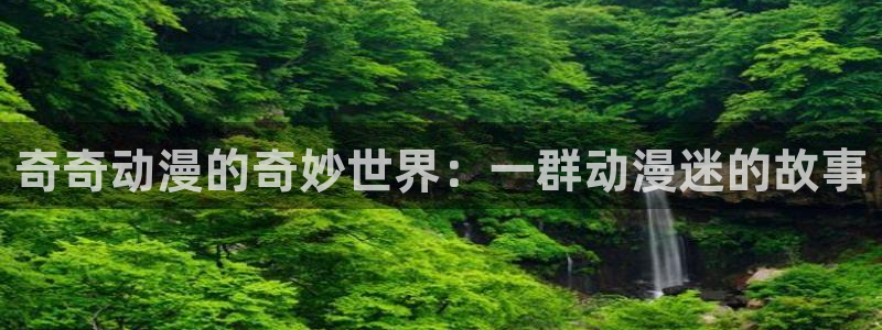 78动漫网页版登录入口